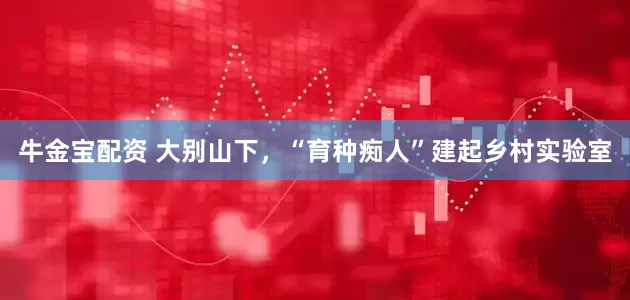 牛金宝配资 大别山下，“育种痴人”建起乡村实验室
