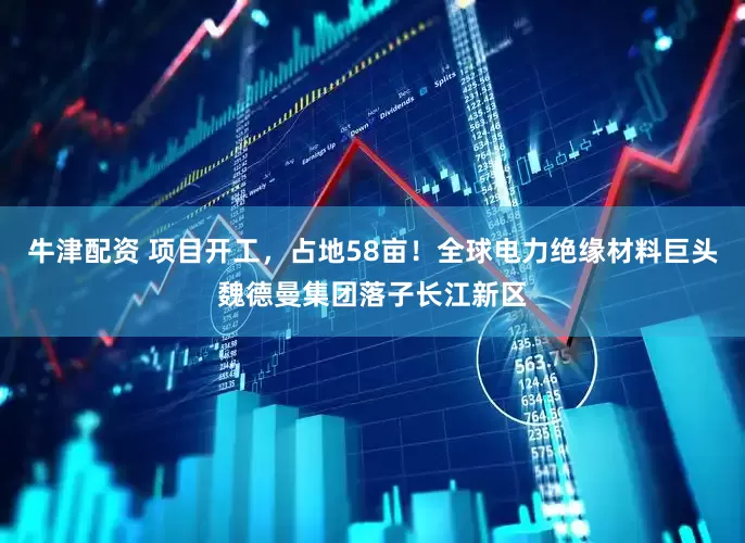 牛津配资 项目开工，占地58亩！全球电力绝缘材料巨头魏德曼集团落子长江新区
